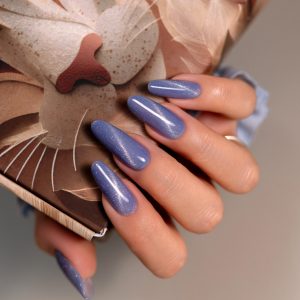 Gēllaka Saute Nails Cat Eye Effect E14 8ml